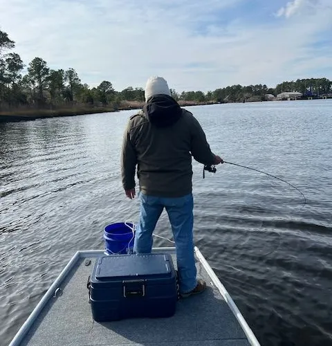 Ray Fishing again