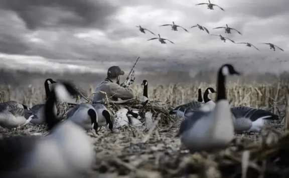 Goose Hunt-1